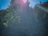 20210615_074204.JPG