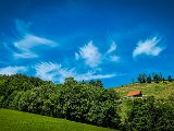 20210615_111602.JPG