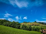20210615_111609.JPG
