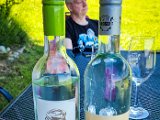 20210615_114613.JPG