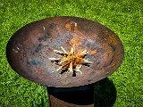 20210615_123437.JPG