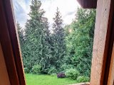 20210616_061845.JPG