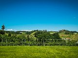 20210616_105654.JPG