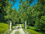 20210616_111611.JPG