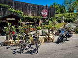 20210616_112941.JPG