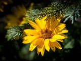 IMG_0882.jpg