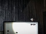 20210725_020722.JPG