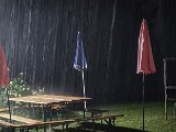 20210725_020824.JPG