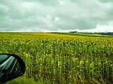 20210725_105334.JPG