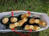 20210725_123044.JPG