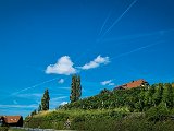 20210809_132651(1).JPG