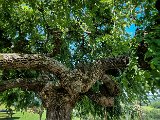 20210810_110131.JPG