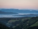 20210811_060417.JPG