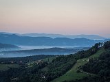 20210811_060421(0).JPG