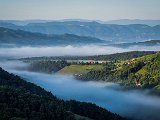 20210811_065531.JPG