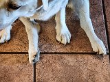20210811_100941.JPG