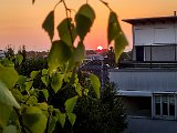 20210815_055414.JPG