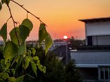 20210815_055425.JPG