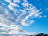 20210827_183446(0).JPG