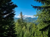 20210905_103723.jpg