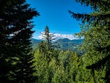 20210905_103724.JPG