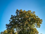 20211016_170018(0).JPG