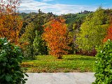 20211023_134125.jpg