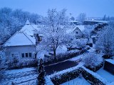 20211209_072537.jpg