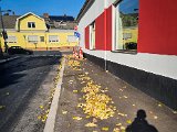 20211031_132947.jpg