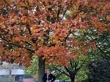 20211103_064616.jpg