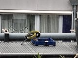 20211121_112024.jpg