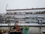 20211126_113733.jpg