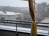 20211126_115900.jpg