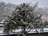 20211126_115917.jpg