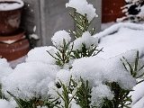 20211126_135152(0).jpg