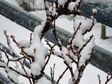 20211126_135228.jpg