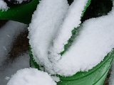 20211126_135240.jpg