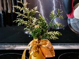 20211223_170103.jpg