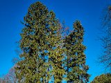 20220312_153631.jpg