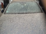20220316_131032.jpg
