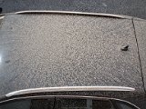 20220316_133714.jpg
