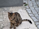 20220701_193542.jpg