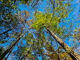 20221027_124511.jpg