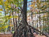 20221028_120458.jpg
