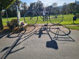 20221028_150213.jpg