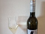 20221028_165256(0).jpg