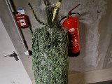 20221218_163859.jpg
