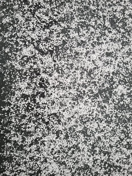 20220120_145916