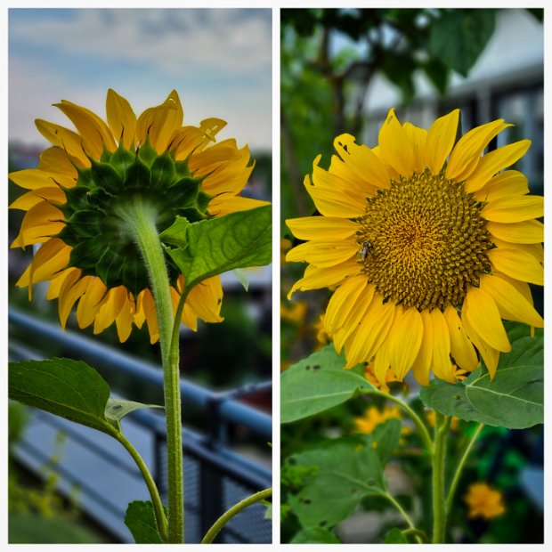 20220707_082544