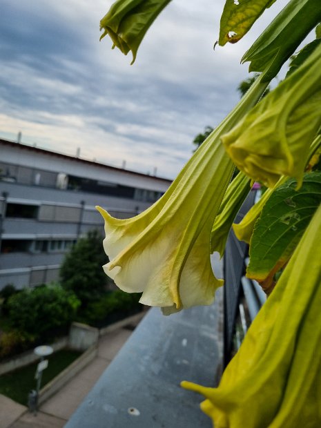 20220807_075655